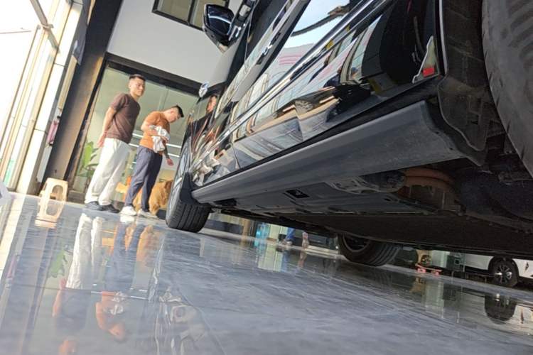 Used Wey Lanshan 2025 Four-Wheel Drive Max Left Side Sill