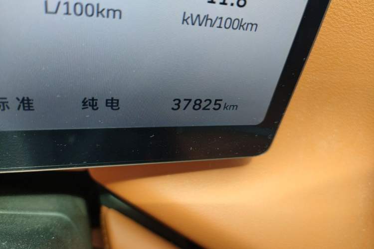 Used Wey Lanshan 2025 Four-Wheel Drive Max Odometer Close Up