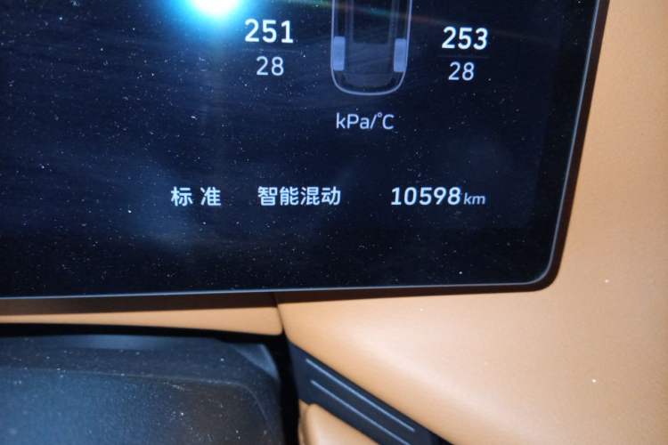 Used Wey Lanshan 2025 Four-Wheel Drive Max Odometer Close Up