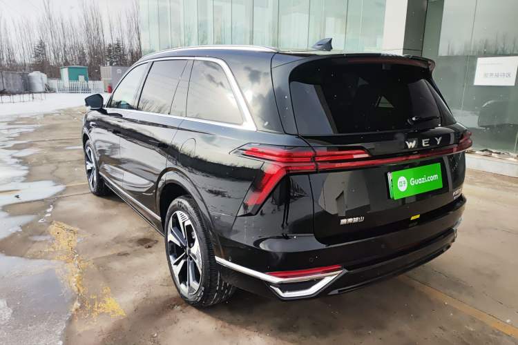 Used Wey Lanshan 2025 Four-Wheel Drive Ultra Rear Left 45 Deg