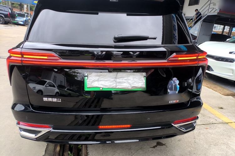 Used Wey Lanshan 2025 Four-Wheel Drive Max Rear