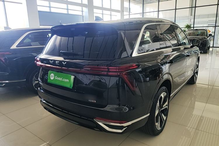 Used Wey Lanshan 2025 Four-Wheel Drive Ultra Rear Right 45 Deg