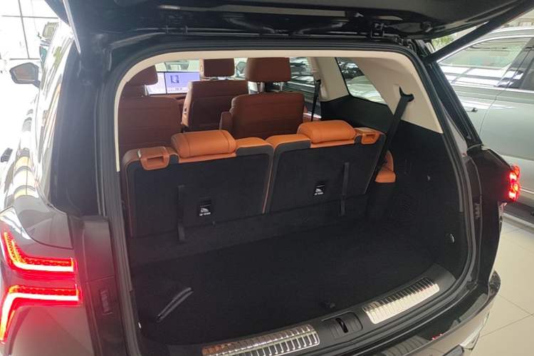 Used Wey Lanshan 2025 Four-Wheel Drive Ultra Trunk