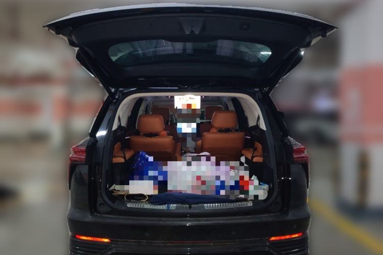 Used Wey Lanshan 2025 Four-Wheel Drive Max Trunk