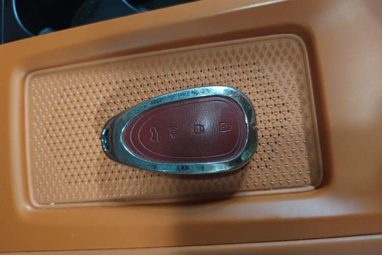 Used Wey Lanshan 2025 Four-Wheel Drive Max Vehicle Key