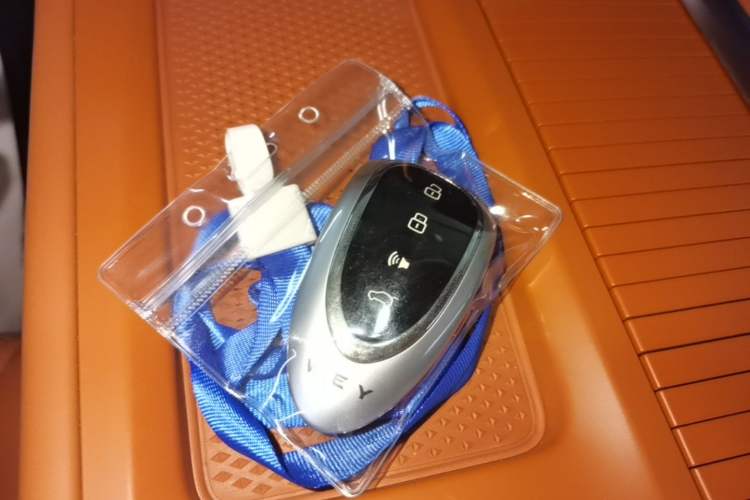 Used Wey Lanshan 2025 Four-Wheel Drive Max Vehicle Key