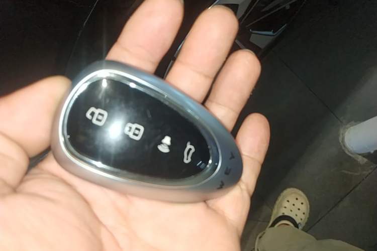 Used Wey Lanshan 2025 Four-Wheel Drive Max Vehicle Key