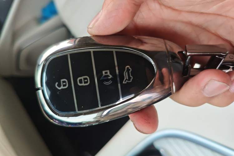 Used Wey Lanshan 2025 Four-Wheel Drive Max Vehicle Key