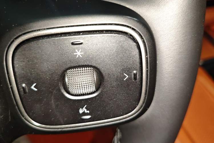 Used Wey Lanshan 2025 Four-Wheel Drive Max Vehicle Key