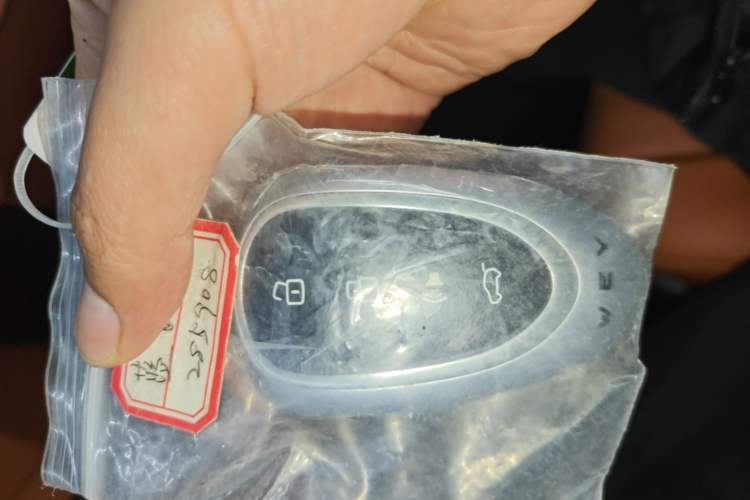 Used Wey Lanshan 2025 Four-Wheel Drive Ultra Vehicle Key