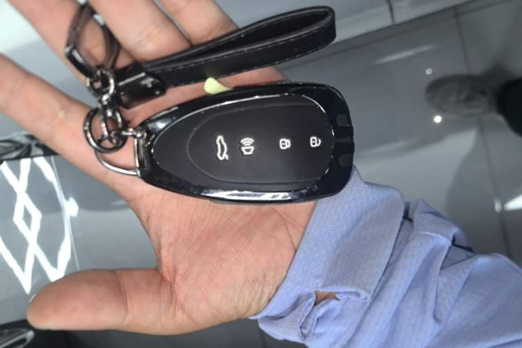 Used Wey Lanshan 2025 Four-Wheel Drive Max Vehicle Key