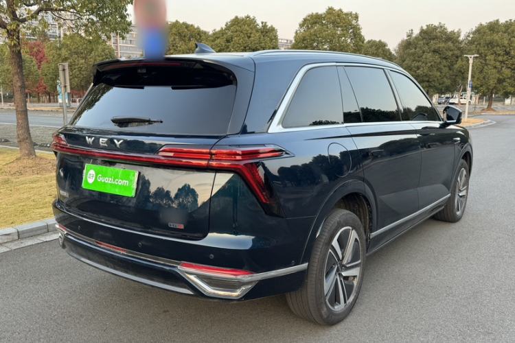 Used Wey Lanshan 2025 Four-Wheel Drive Max Exterior 3