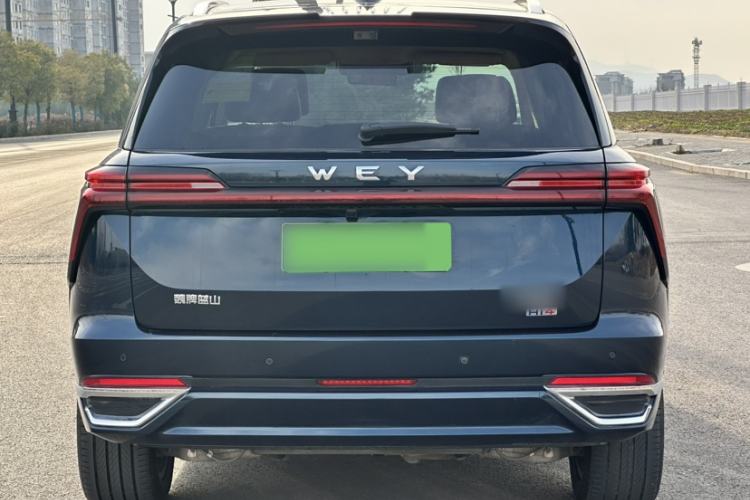 Used Wey Lanshan 2025 Four-Wheel Drive Max Exterior 4