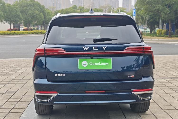 Used Wey Lanshan 2025 Four-Wheel Drive Max Exterior 5