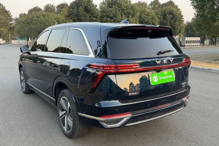 Used Wey Lanshan 2025 Four-Wheel Drive Max Exterior 5