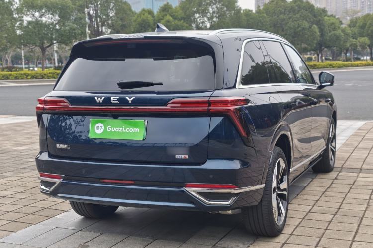 Used Wey Lanshan 2025 Four-Wheel Drive Max Exterior 6