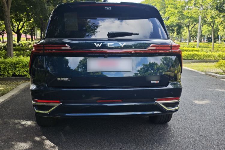 Used Wey Lanshan 2025 Four-Wheel Drive Max Exterior 8