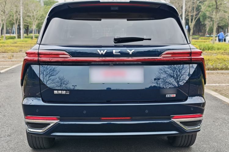 Used Wey Lanshan 2025 Four-Wheel Drive Max Exterior 8