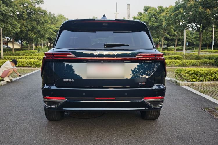 Used Wey Lanshan 2025 Four-Wheel Drive Max Exterior 8
