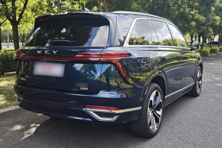 Used Wey Lanshan 2025 Four-Wheel Drive Max Exterior 9