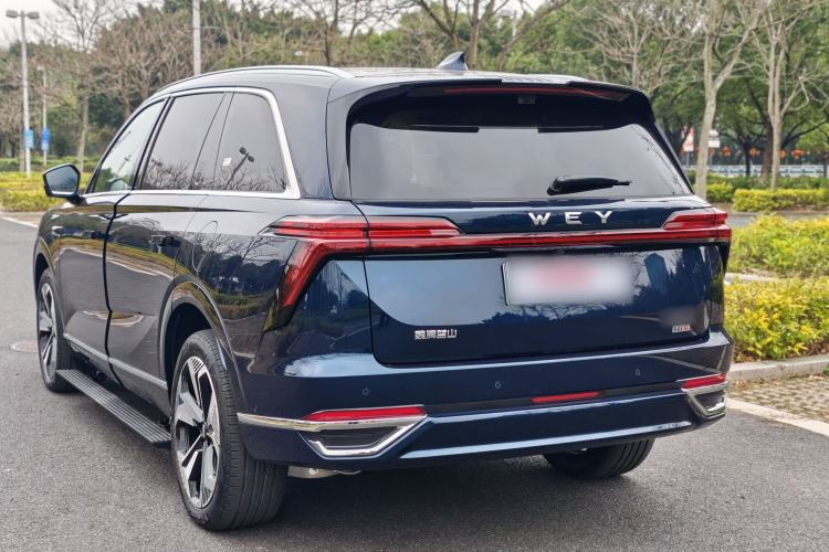 Used Wey Lanshan 2025 Four-Wheel Drive Max Exterior 9
