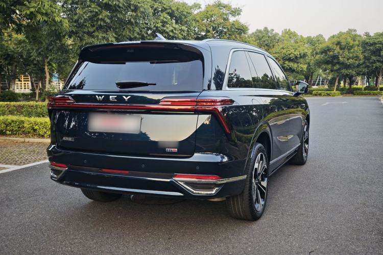 Used Wey Lanshan 2025 Four-Wheel Drive Max Exterior 9