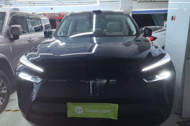 Used Wey Lanshan 2025 Four-Wheel Drive Max Front