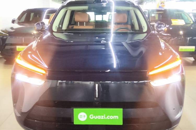 Used Wey Lanshan 2025 Four-Wheel Drive Max Front
