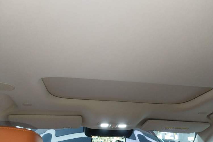 Used Wey Lanshan 2025 Four-Wheel Drive Max Headliner