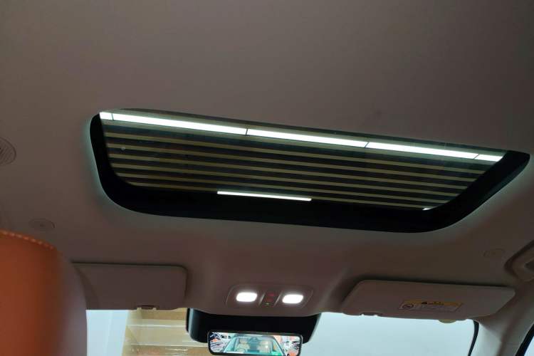 Used Wey Lanshan 2025 Four-Wheel Drive Max Headliner