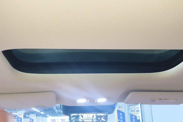Used Wey Lanshan 2025 Four-Wheel Drive Max Headliner