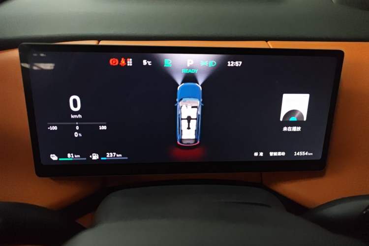 Used Wey Lanshan 2025 Four-Wheel Drive Max Instrument Cluster