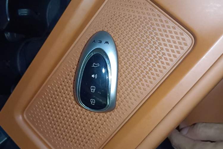 Used Wey Lanshan 2025 Four-Wheel Drive Max Interior 1
