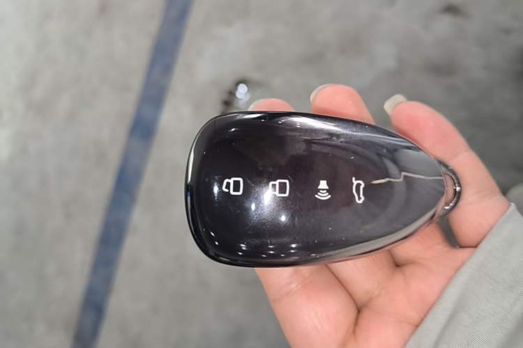 Used Wey Lanshan 2025 Four-Wheel Drive Max Interior 1