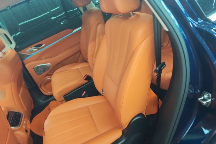 Used Wey Lanshan 2025 Four-Wheel Drive Max Left Rear Seat