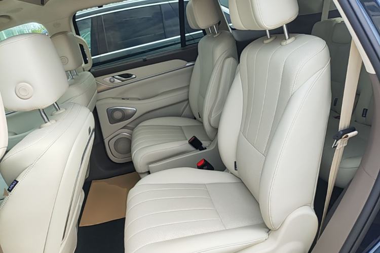 Used Wey Lanshan 2025 Four-Wheel Drive Max Left Rear Seat