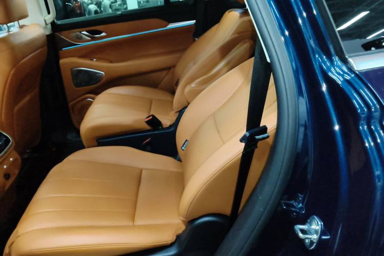 Used Wey Lanshan 2025 Four-Wheel Drive Max Left Rear Seat