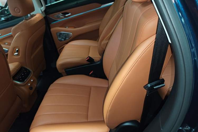 Used Wey Lanshan 2025 Four-Wheel Drive Max Left Rear Seat