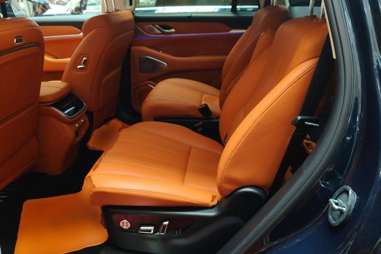 Used Wey Lanshan 2025 Four-Wheel Drive Max Left Rear Seat