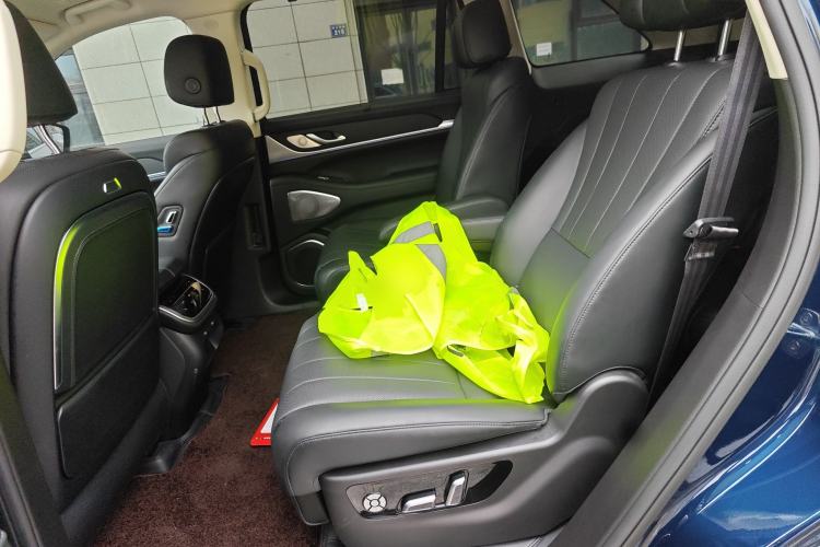 Used Wey Lanshan 2025 Four-Wheel Drive Max Left Rear Seat