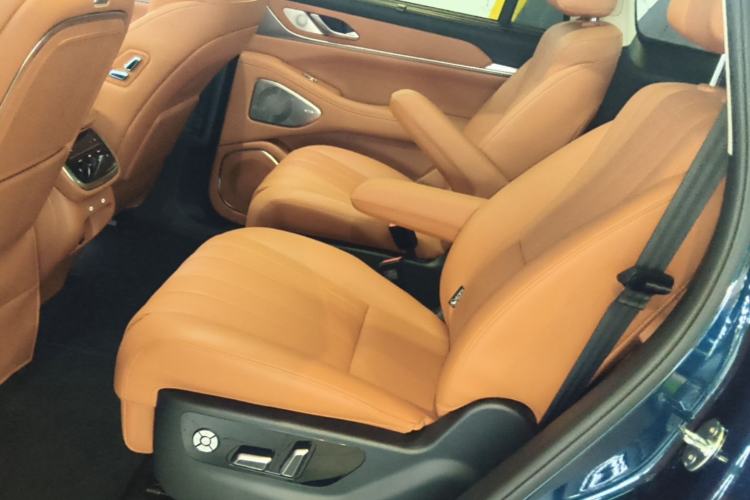 Used Wey Lanshan 2025 Four-Wheel Drive Max Left Rear Seat