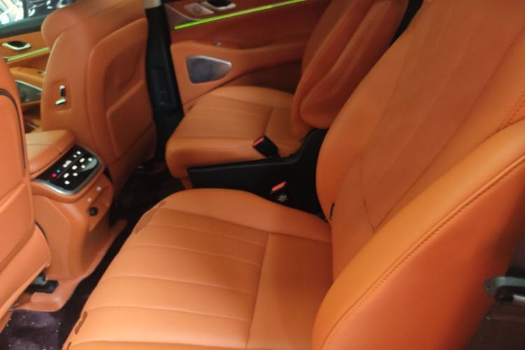 Used Wey Lanshan 2025 Four-Wheel Drive Ultra Left Rear Seat