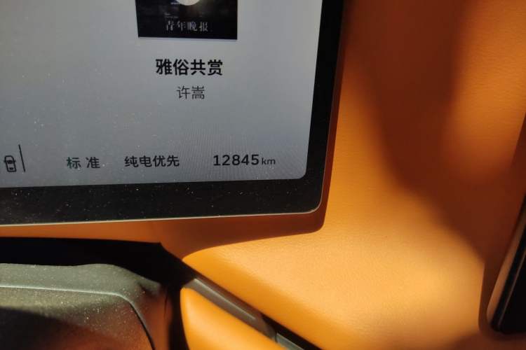 Used Wey Lanshan 2025 Four-Wheel Drive Max Odometer Close Up