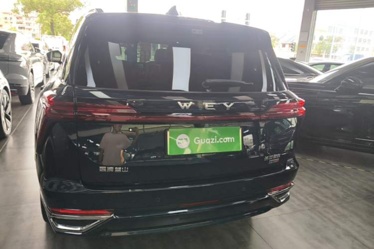 Used Wey Lanshan 2025 Four-Wheel Drive Ultra Rear