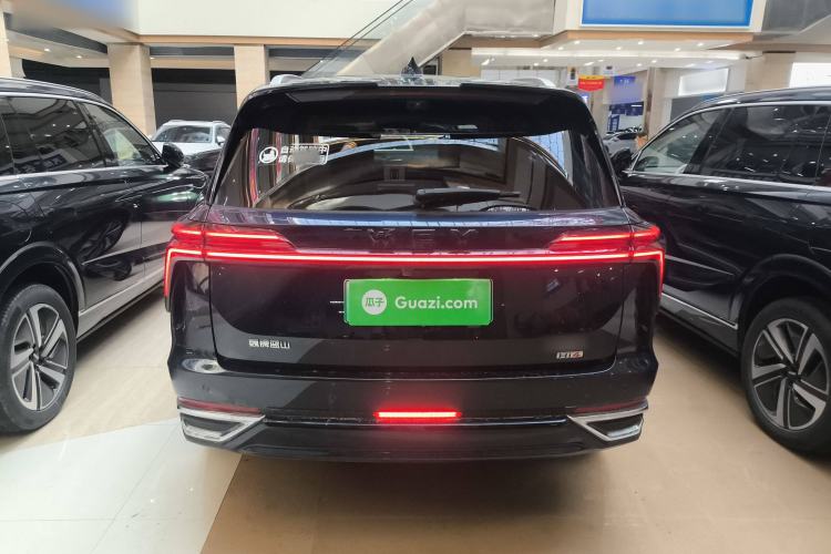 Used Wey Lanshan 2025 Four-Wheel Drive Max Rear