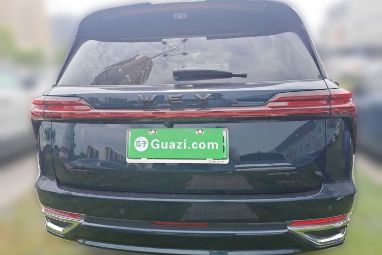 Used Wey Lanshan 2025 Four-Wheel Drive Ultra Rear
