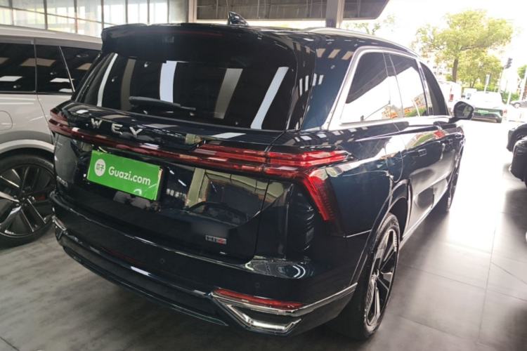 Used Wey Lanshan 2025 Four-Wheel Drive Ultra Rear Right 45 Deg