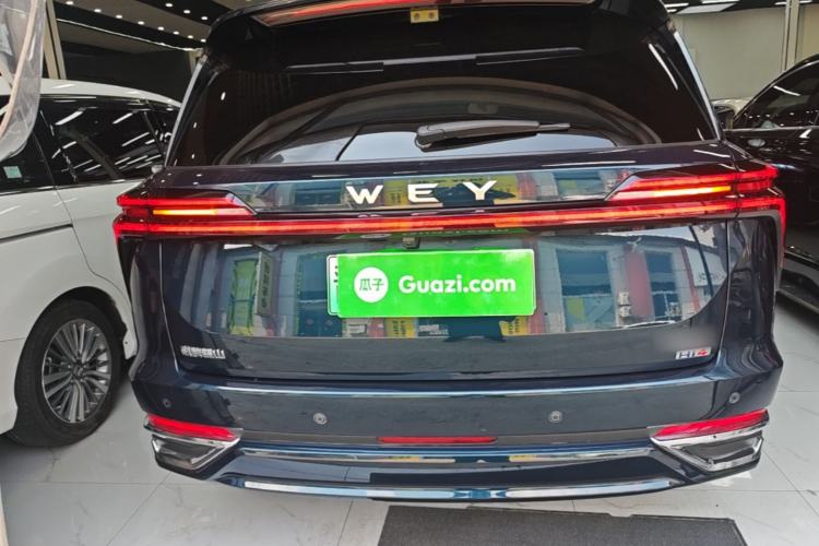 Used Wey Lanshan 2025 Four-Wheel Drive Ultra Rear