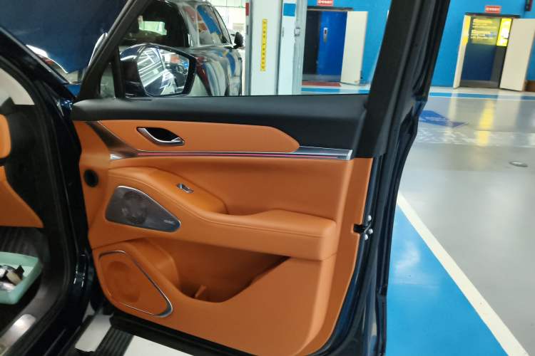 Used Wey Lanshan 2025 Four-Wheel Drive Max Right Front Door Interior