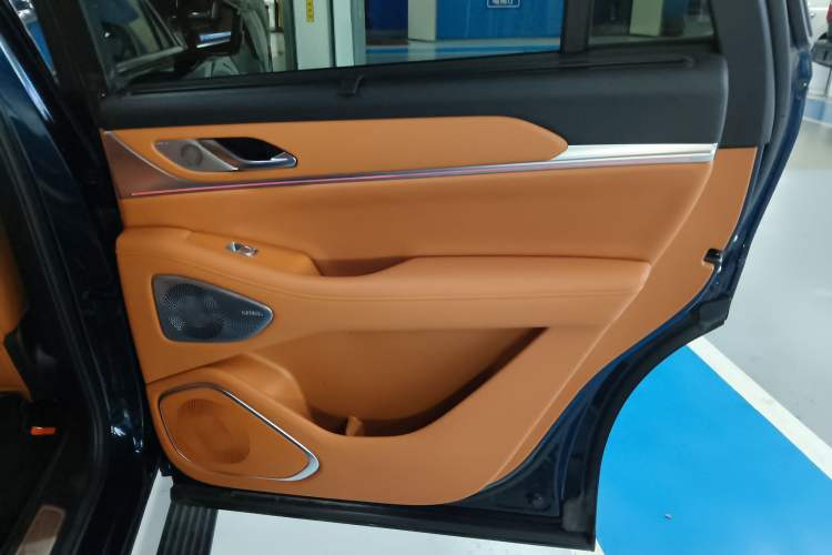 Used Wey Lanshan 2025 Four-Wheel Drive Max Right Rear Door Interior